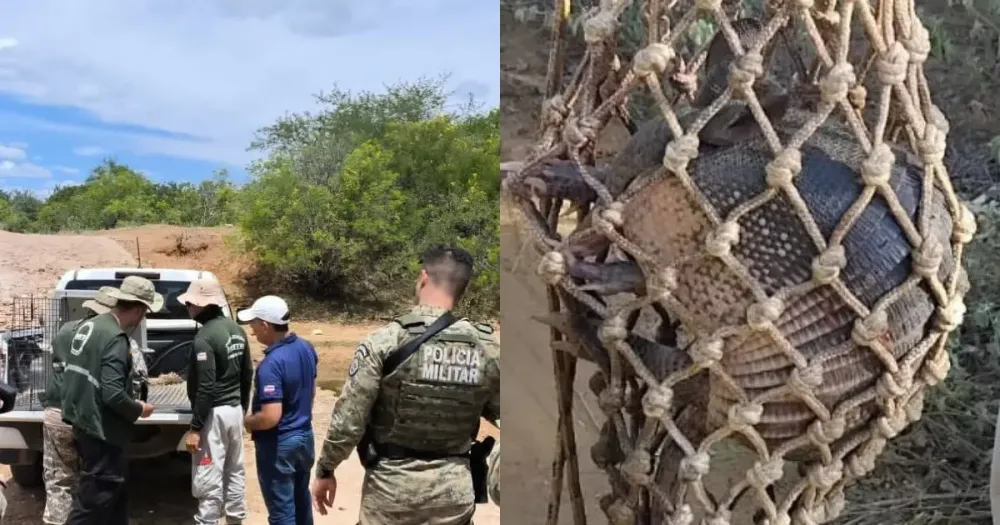 Torneio ilegal de caça de animais silvestres é desarticulado em Curaçá, Norte da Bahia