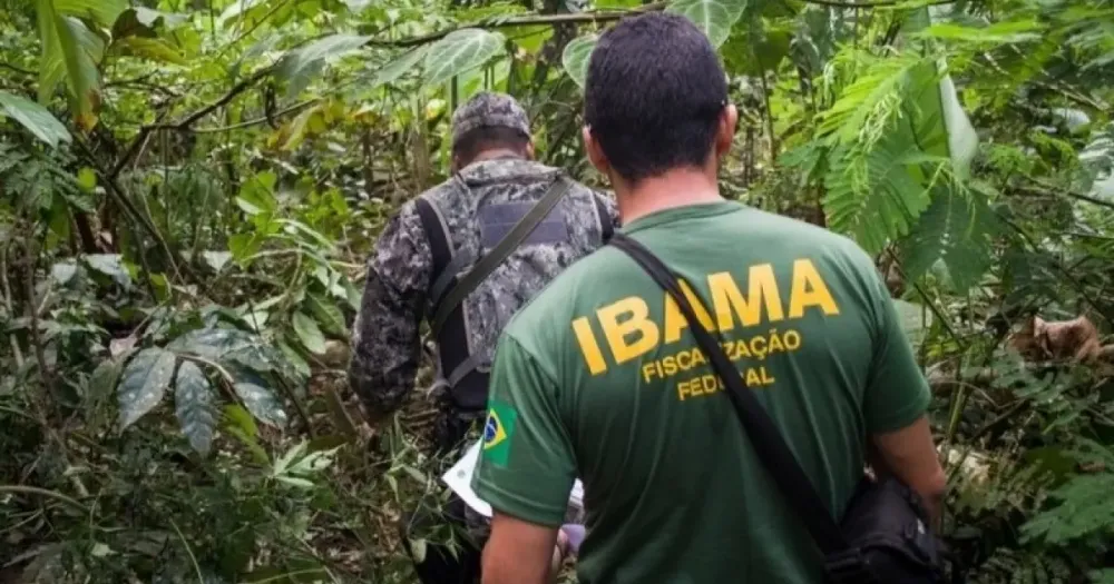 Bahia é o 5º estado com mais funcionários vinculados ao Ibama e lidera quadro no Nordeste