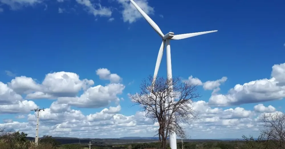 Governo deve ampliar ressarcimento a geradoras de energia em acordo sobre cortes de renováveis