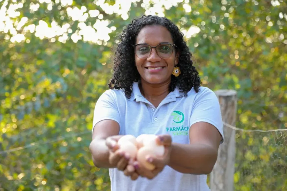 Produção de ovos atinge recorde na Bahia com apoio à agricultura familiar