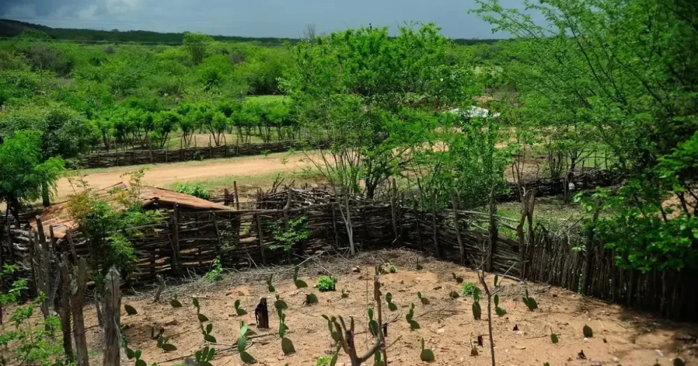 Bahia protagonizou mais de 171 conflitos no campo em 2024, aponta relatório da CPT