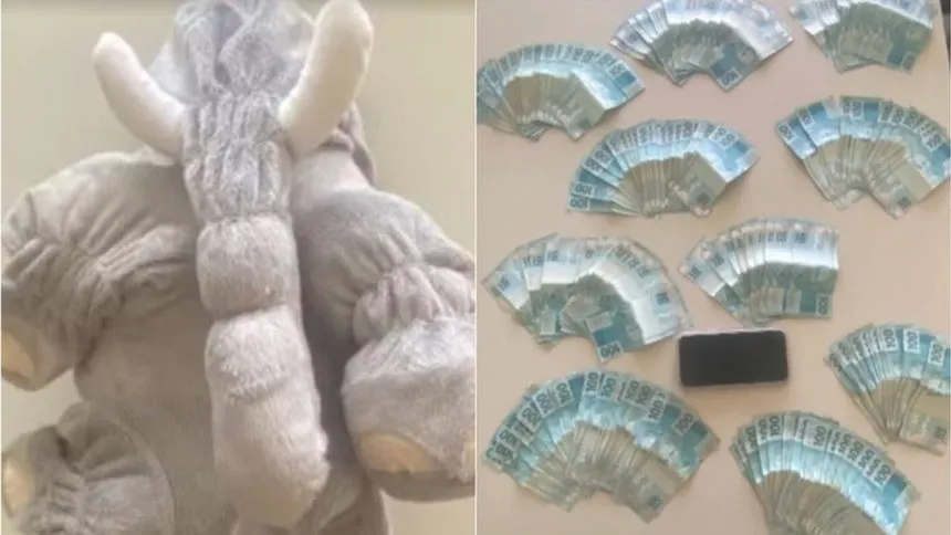 Polícia encontra R$ 20 mil em pelúcia durante operação na Bahia; mulher diz que ganhou jogando no ‘Tigrinho’