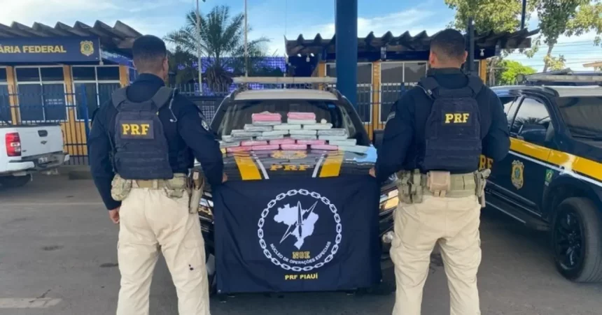 Polícia apreende 28,15 kg de cocaína na Bahia
