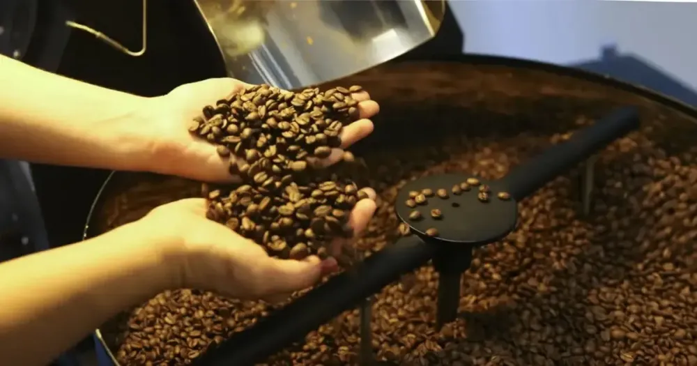 Preço do café pode baixar, mas não por causa de Trump; setores de carnes e sucos miram a Ásia