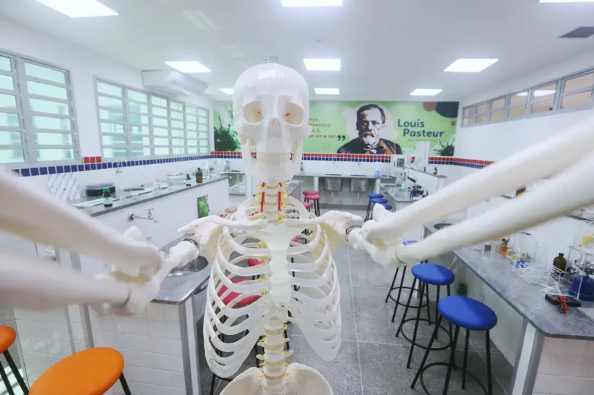 Estudantes da Bahia criam soluções inovadoras e sustentáveis