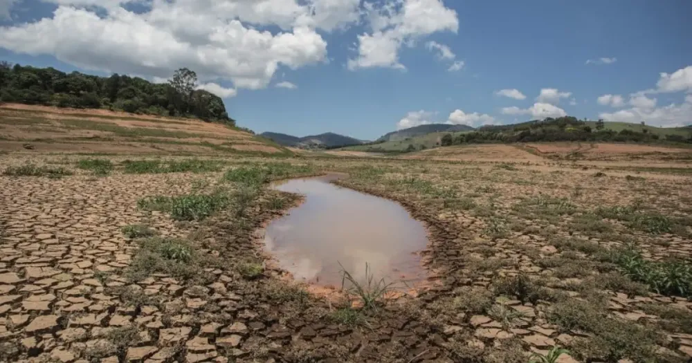 Em meio à desertificação, iniciativas públicas e sociais incentivam resiliência da caatinga e cerrado baianos