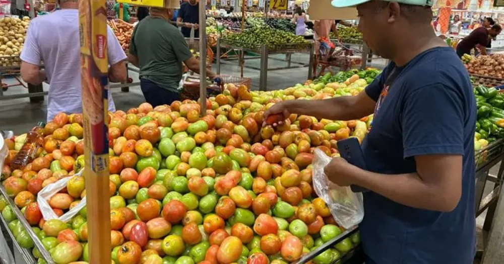 Cesta Básica apresenta redução de 3,20% em agosto de 2025