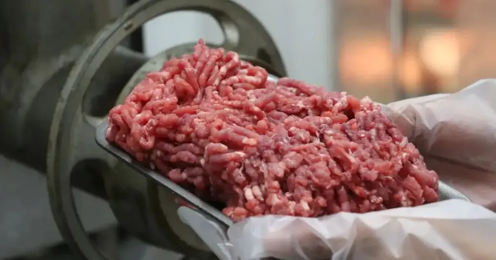 Estudo aponta que consumo de carne vermelha promove redução de mortes por câncer