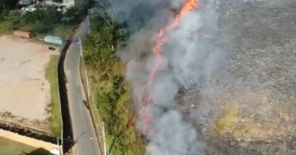Salvador lidera registros de incêndios em áreas de mata na Bahia e acumula 340 ocorrências em quatro anos