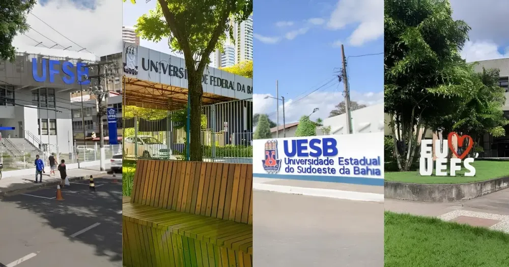 15 cientistas da Bahia estão entre os mais influentes do mundo, mas alertam para falta de apoio à pesquisas