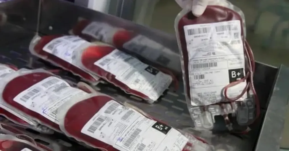 Bahia registra o maior número de coletas de sangue da região Nordeste em 2025