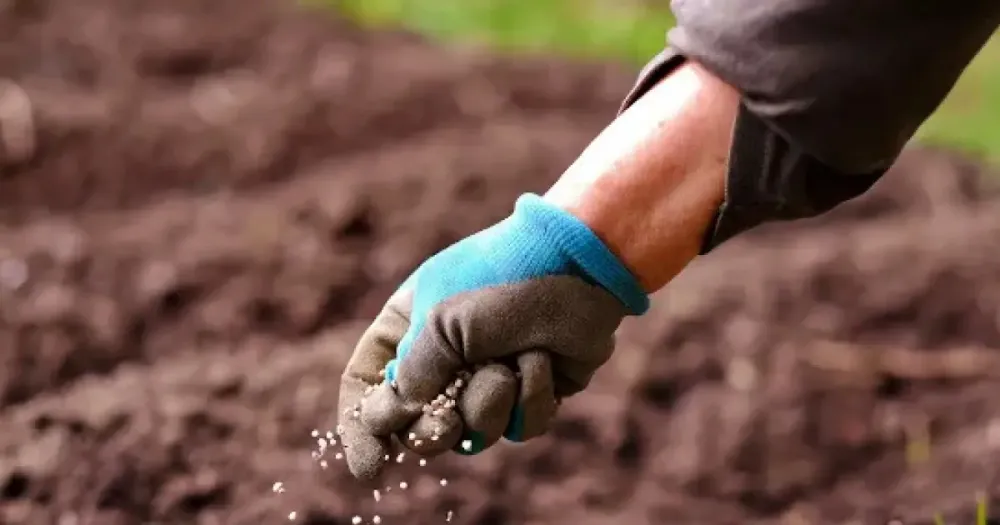 Em meio à guerra, China restringe exportação de fertilizantes