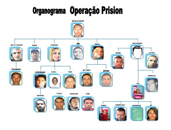 Polícia prende mais de 20 em Senhor do Bonfim, Itiúba e região durante mega operação