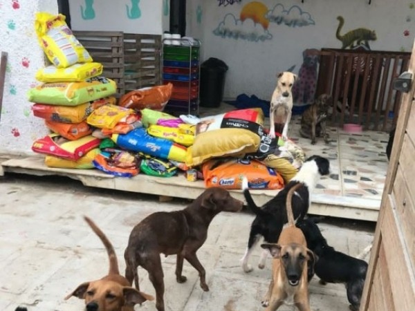 Menino de 10 anos pede ração de presente no aniversário e faz doação a abrigo