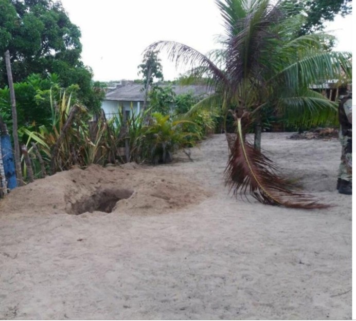 Casal é achado em cova no quintal da própria casa na Bahia; mulher foi estuprada antes de ser morta