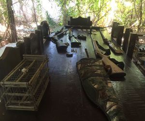 Fiscalização prende falso Policial Federal com animais silvestres e armas em Paulo Afonso