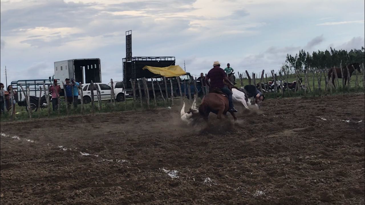 DEPUTADO FEDERAL É PISOTEADO POR CAVALO DURANTE VAQUEJADA E VAI PARAR NO HOSPITAL
