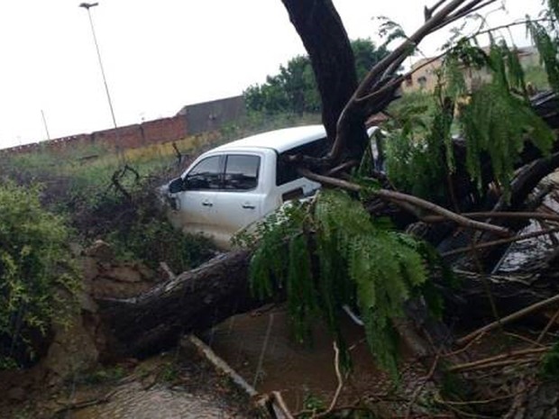 Chuva de granizo e ventania causam estragos em cidade baiana no Vale do São Francisco
