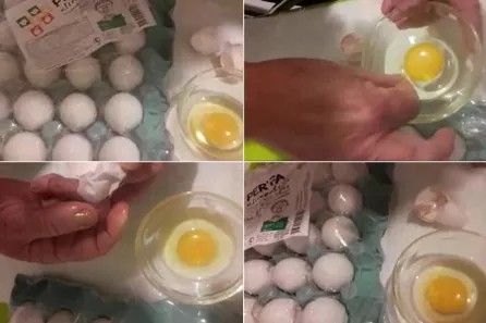 OVOS FILMADOS EM VÍDEO NÃO SÃO DE PLÁSTICO E NÃO FORAM FABRICADOS NA CHINA