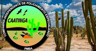 CHORROCHÓ-BA: CORPO É ENCONTRADO APÓS TROCA DE TIROS ENTRE A CIPE-CAATINGA E ASSALTANTES NA BR-116