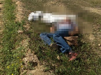 Homem é encontrado morto com marcas de tiros na zona rural de Pedro Alexandre- BA