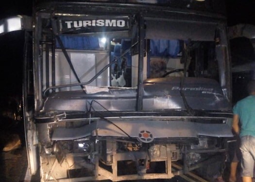  Ônibus atropela 12 vacas na BA 120 trecho Santaluz/Queimadas