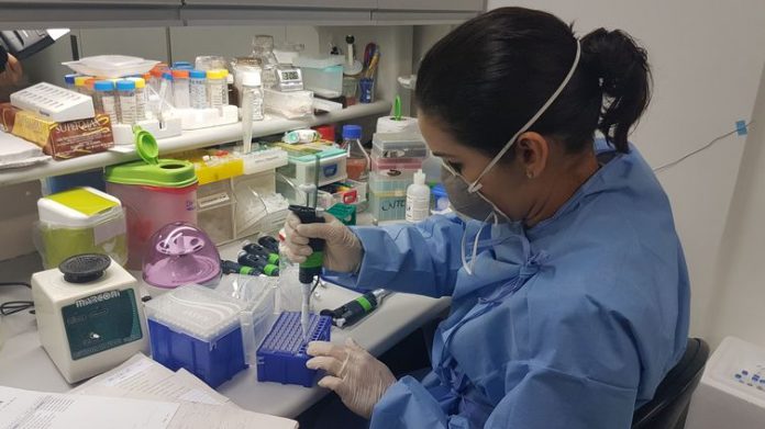 Pesquisadores sintetizam molécula que elimina vírus da hepatite C