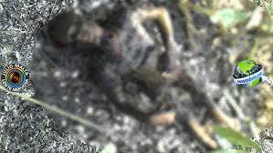  Corpo é encontrado carbonizado na zona rural de Tucano