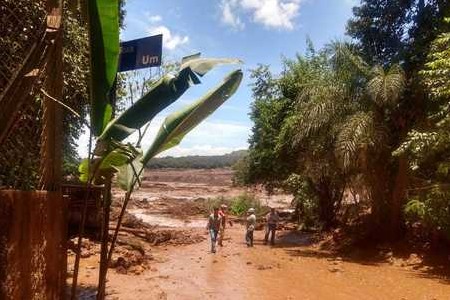 Quatro baianos estão entre desaparecidos na tragédia de Brumadinho