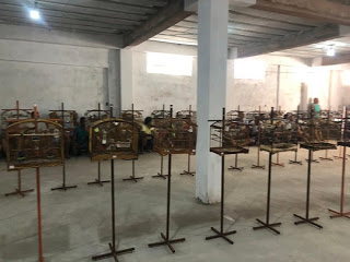 Torneio irregular de canto de aves termina com 90 pássaros apreendidos e 21 pessoas detidas na Bahia
