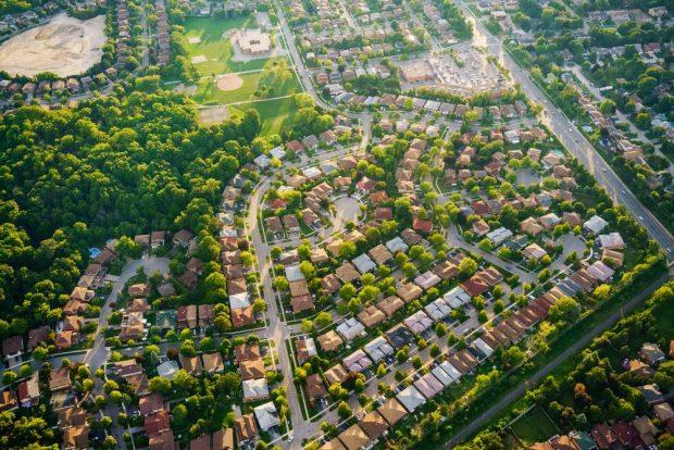 As cidades devem pensar nas árvores como uma infraestrutura de saúde pública