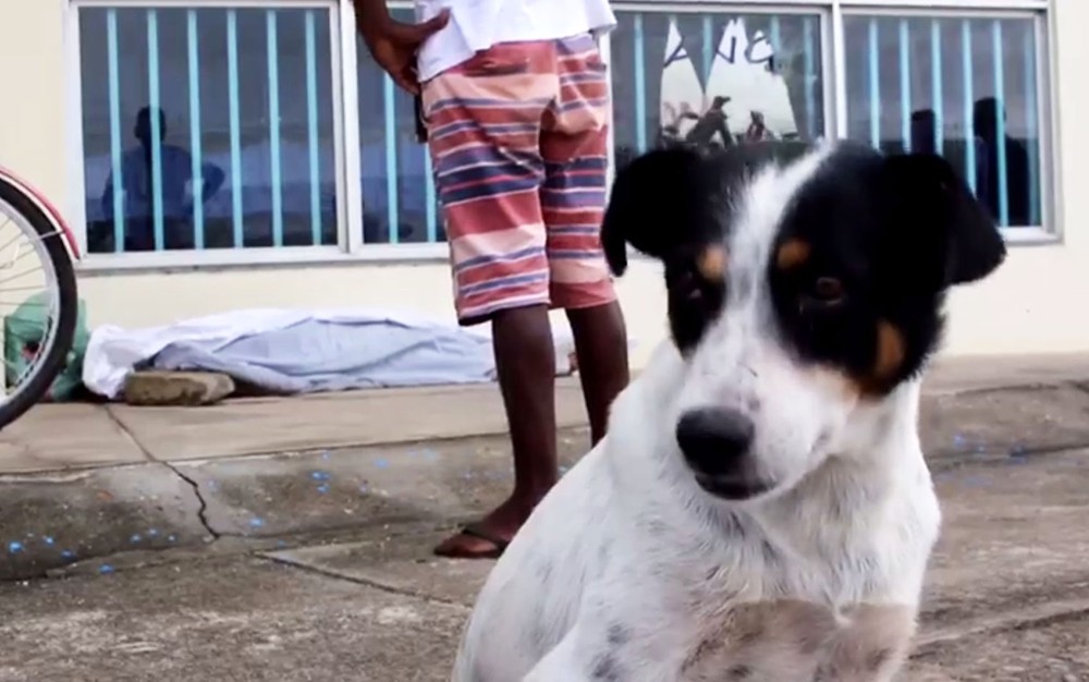 Homem é assassinado em calçada na Bahia e cachorro de vítima fica ao lado do corpo até chegada da polícia 