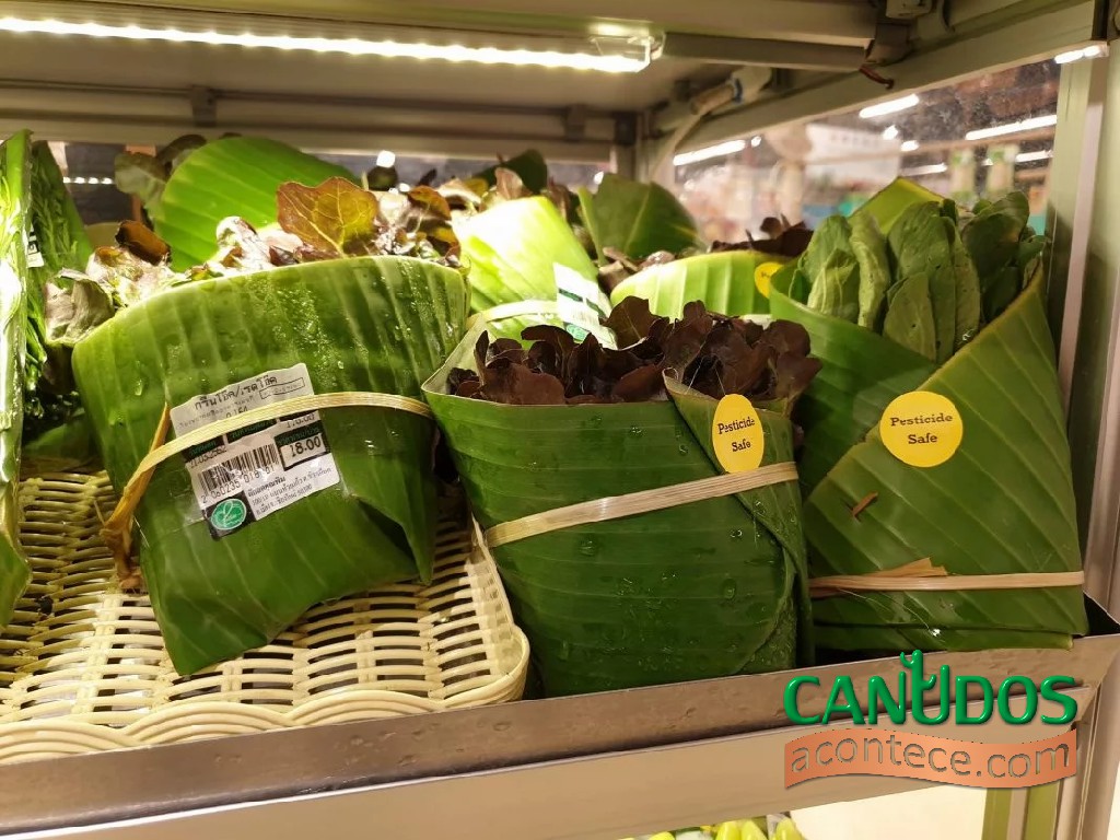 Supermercado na Tailândia troca plástico por folha de bananeira