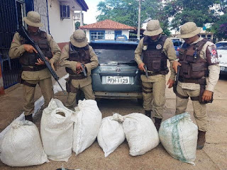 Mais de 60 kg de maconha são apreendidos em Euclides da Cunha
