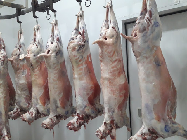 Confira quanto custa em média o Kg da carne de caprinos e ovinos nos municípios de Uauá, Curaçá, Juazeiro, Casa Nova e Remanso.