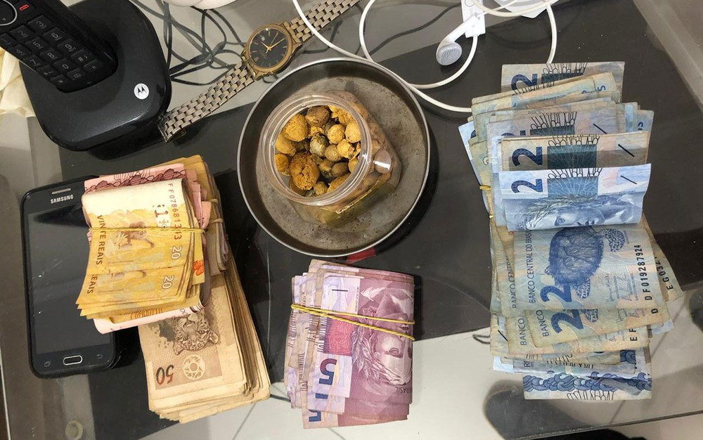 Onze pessoas são presas e quase 300 animais silvestres apreendidos em operação na Bahia