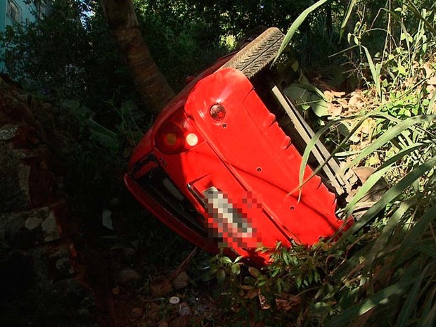 Motorista é atacado por abelhas na Bahia, perde o controle de carro e cai em ribanceira