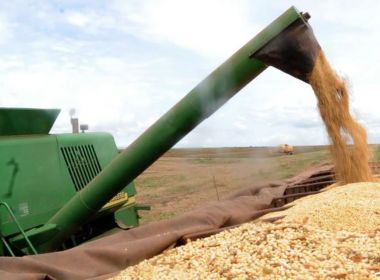 BNDES destina R$ 23 bilhões para Plano Safra 2019/2020