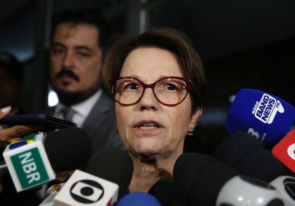 Governo libera mais 51 agrotóxicos, totalizando 262 no ano