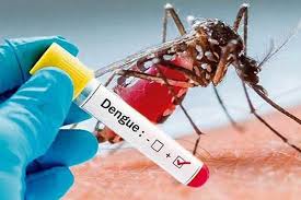 Casos prováveis de dengue saltam para 51 mil na Bahia