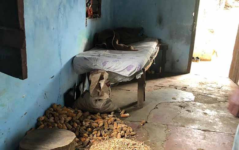 Em uma fazenda no interior da Bahia, trabalhador dormia ao lado de chiqueiro