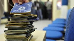 Taxa de desemprego no país caiu para 12% no segundo trimestre, aponta IBGE