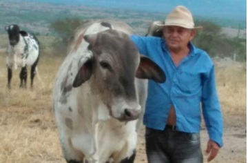 Trabalhador rural é assassinado a tiros na zona rural de Tucano