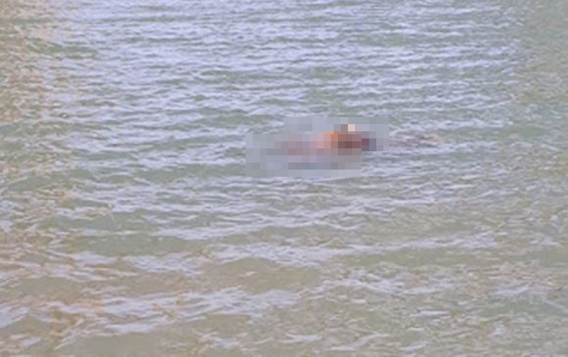 Homem de 55 anos morre afogado ao tomar banho de rio em Paulo Afonso