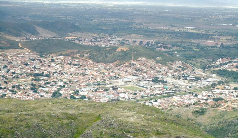 Mosquitos geneticamente modificados estão se reproduzindo em uma cidade na Bahia