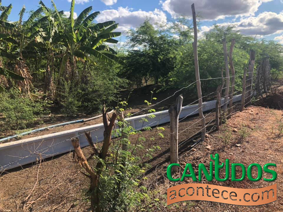 *Produtores do Vaza Barris terão energia elétrica para irrigação*