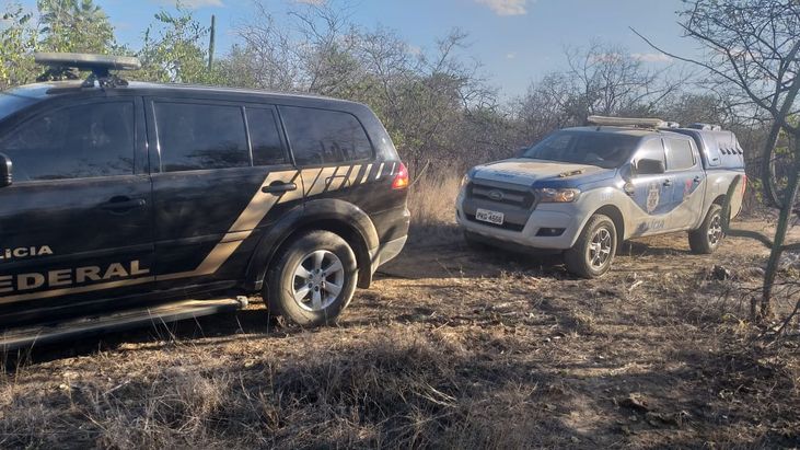 70 mil pés de maconha foram erradicados após Operação em Canudos, Juazeiro, Curaçá e Campo Formoso