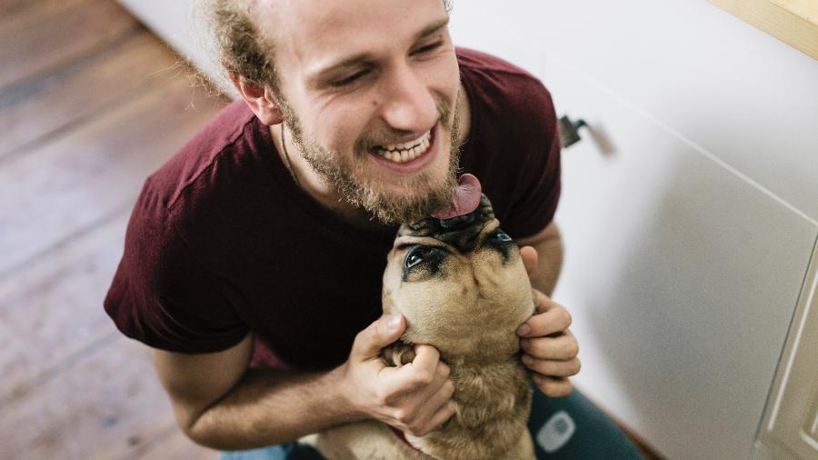 Homem morre ao contrair infecção rara através de lambida de cachorro
