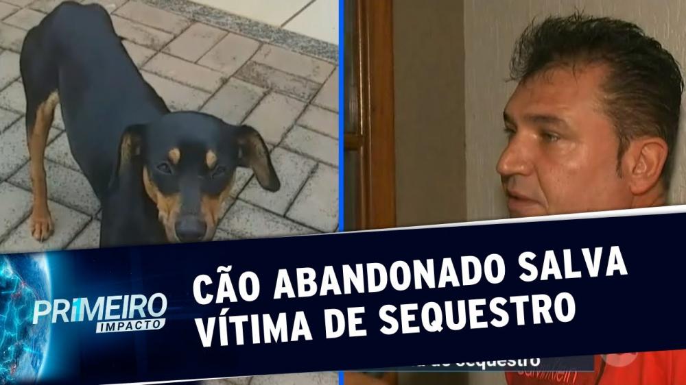 CACHORRO ABANDONADO SALVA VÍTIMA DE SEQUESTRO NO PARANÁ