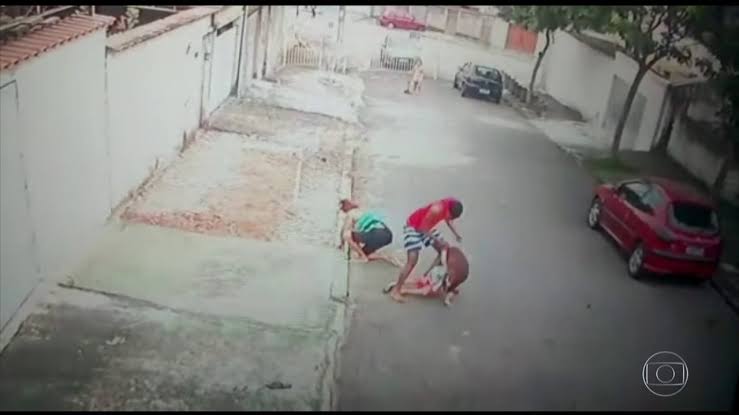 Vídeo mostra jovem salvando criança de ataque de pitbull no Rio